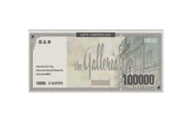 갤러리아백화점 상품권